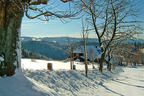 Winter auf dem Kronenhof