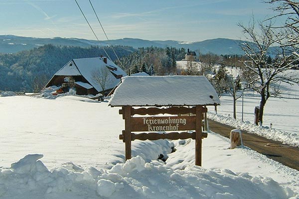 Winter auf dem Kronenhof