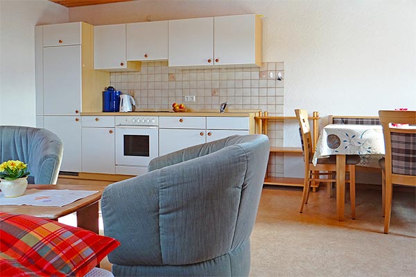 Wohn- und Schlafzimmer mit Küchenzeile