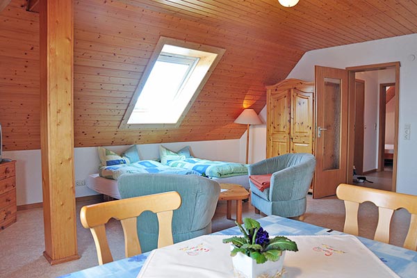Wohn- und Schlafzimmer mit Küchenzeile